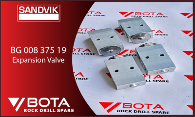 BG 008 375 19 - Expansion Valve